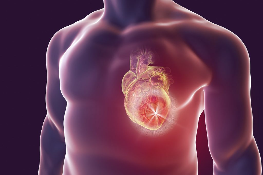 Understanding Heart Valve Disease Nurse Advisor Magazine