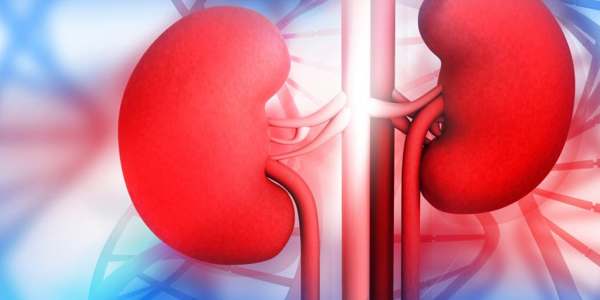Ways to Keep Your Kidney Healthy
